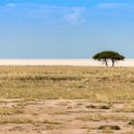 NAM OSHI Etosha 2016NOV27 067 : 2016, 2016 - African Adventures, Africa, Date, Etosha National Park, Month, Namibia, November, Oshikoto, Places, Southern, Trips, Year